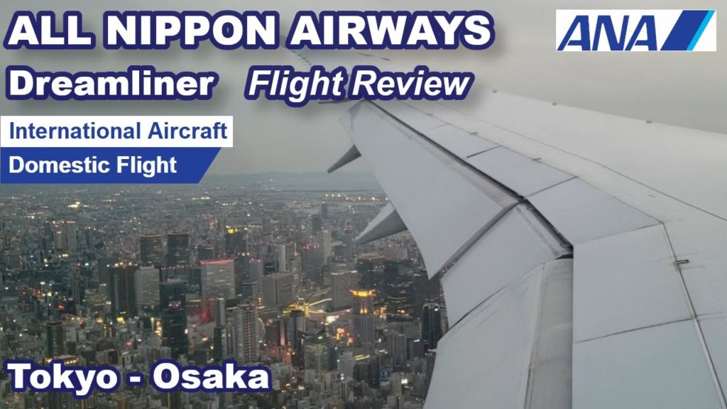 ANA 787 Flight Review | International Aircraft | Domestic Flight + Hkets at convenience stores,