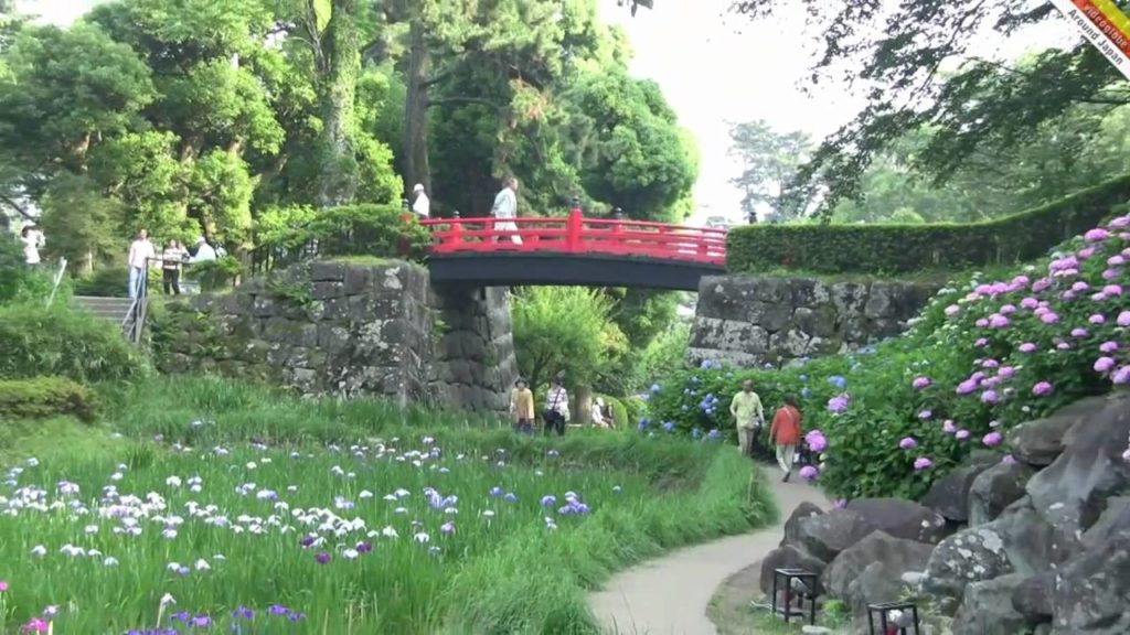Flowers in park, Odawara