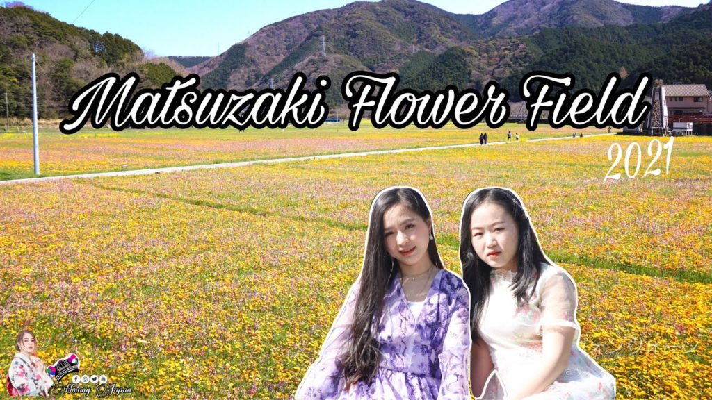 Matsuzaki Flower Field Shizuoka Japan