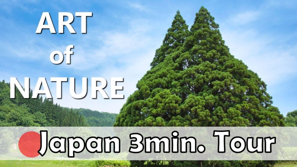【Japan travel guide#28】Yamagata(4) Osugi in Kosugi, Silver Mountain Hot Spring (Nikon Z6, Pocket 2)