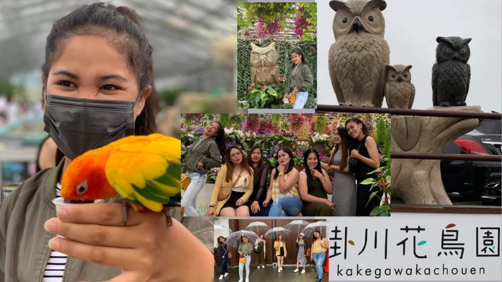 🇯🇵THE MOST HIGHLIGHTED PLACE TO VISIT IN KAKEGAWA|KAKEGAWA BIRD PARK 🇯🇵THE MOST HIGHLIGHTED PLACE TO VISIT IN KAKEGAWA|KAKEGAWA BIRD PARK