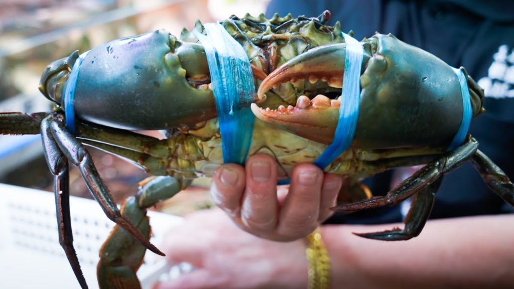 Japanese street food. Okinawa mangrove crab