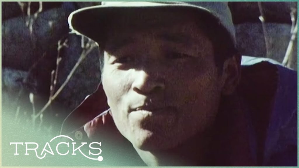 Sherpas of Nepal: The First People to Climb The Everest | Disappearing World | TRACKS