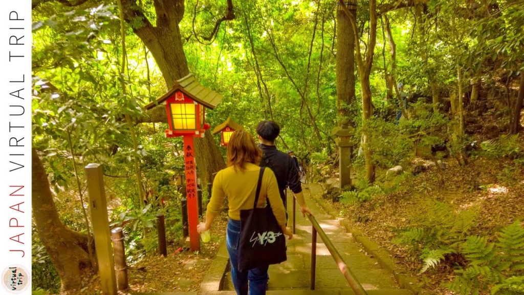 4K Japan Walk - Todoroki Valley Virtual Tour | Walking Tour in Setagaya　(等々力渓谷 - 都会に突如現れる渓谷)