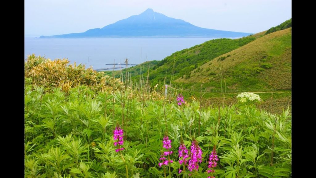 8K HDR 日本のたから 北海道 宗谷地方(利尻 礼文 稚内 サロベツ) ダイジェスト Jewels in Japan, Hokkaido Souya Area