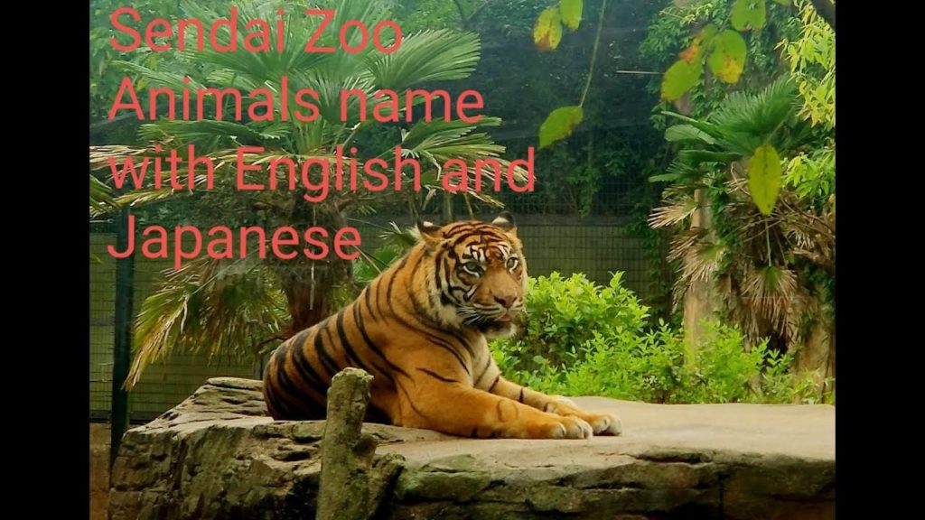 Sendai Zoo in Japan.Animals name with English and Japanese( part1) Sendai Zoo in Japan.Animals name with English and Japanese( part1)