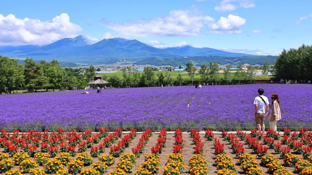 8K HDR 日本のたから 北海道上川地方(富良野 美瑛 大雪山 旭川) ダイジェストJewels in Japan, Hokkaido Kamikawa Area