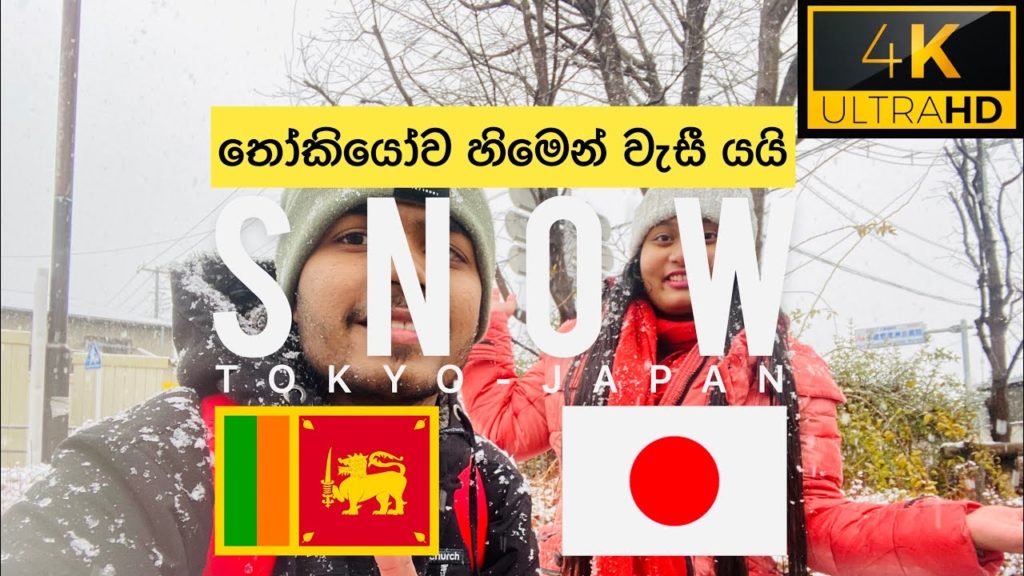 SPECIAL VLOG | හිම🥶🥶❤❤ ❄️❄️🌨| SNOW | 4K | YOU AND ME TRAVEL