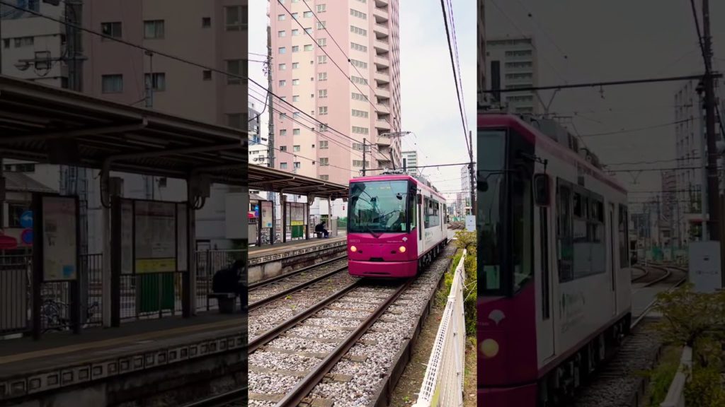 Tokyo Sakura Tram