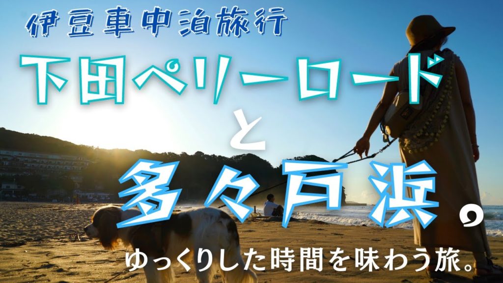 【伊豆車中泊旅行】下田ペリーロードと、多々戸浜の日の出で味わう、最高に贅沢な時間。【湘南移住暮らし/犬とキャンピングカー/ハイエース/キャバリア】 【伊豆車中泊旅行】下田ペリーロードと、多々戸浜の日の出で味わう、最高に贅沢な時間。【湘南移住暮らし/犬とキャンピングカー/ハイエース/キャバリア】