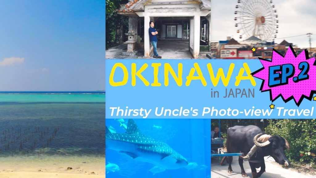 TU's Photo-view Travel 'Okinawa Ep.2' (BiseFukuchi, EmeraldBeach,  ChuraumiAquarium,AmericanVillage)