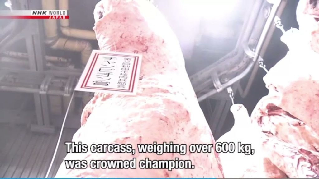 Beef Fair in Akita, Japan Beef Fair in Akita, Japan