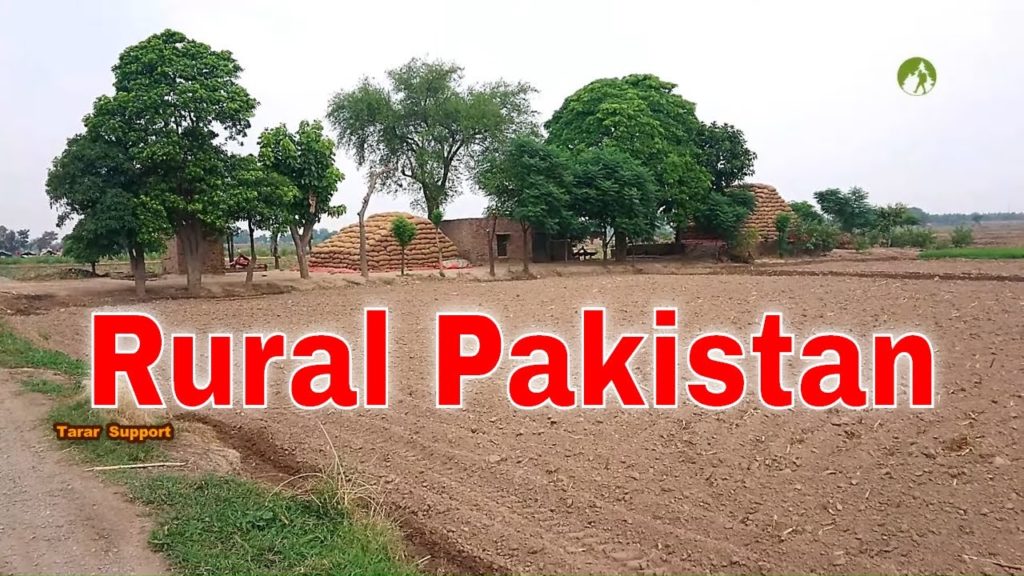 Village Life In Pakistan Daily Routine Work in 2020 Village Life In Pakistan Daily Routine Work in 2020