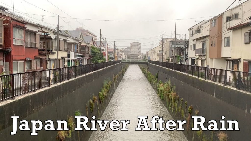Japan River After Downpour Rain 2021.08.15 ASMR Ambient Sound Sleep Meditate Relax Tokyo Suburb