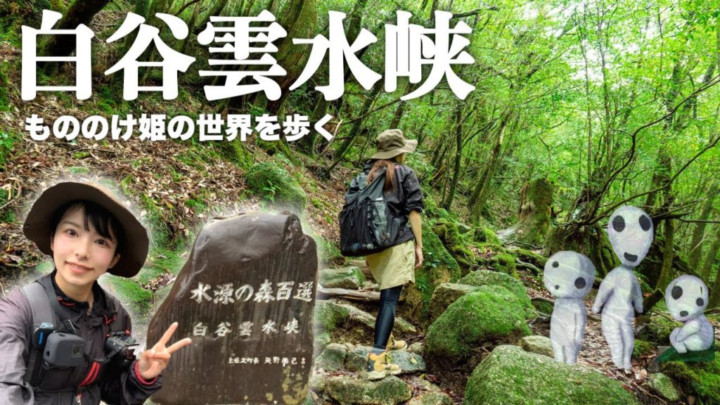 もののけ姫モデルの地、苔むす森を歩いてみた！屋久島 白谷雲水峡〜太鼓岩トレッキング