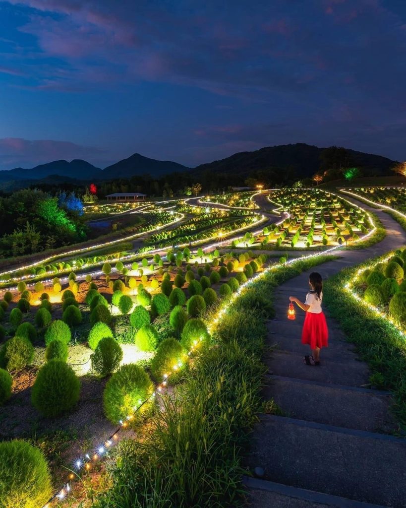 What a beautiful scene!  Kagawa's Sanuki Manno Park is home to a summer illumina...