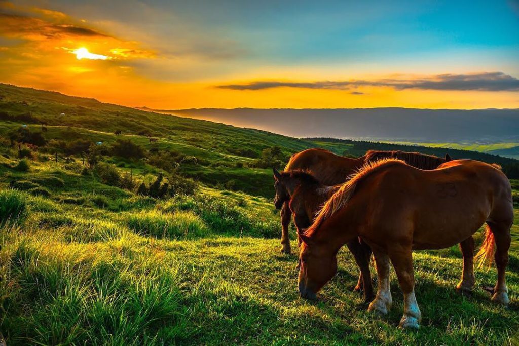 .
A majestic and powerful sunset in Aso.
It's feels like a journey coming to an ...