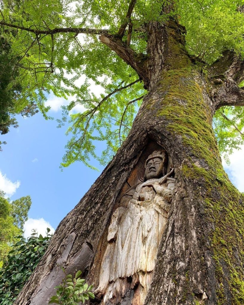 Visit Japan: Have you ever seen something so impressive carved directly into a tree?
The spl… Have you ever seen something so impressive carved directly into a tree?
The spl...