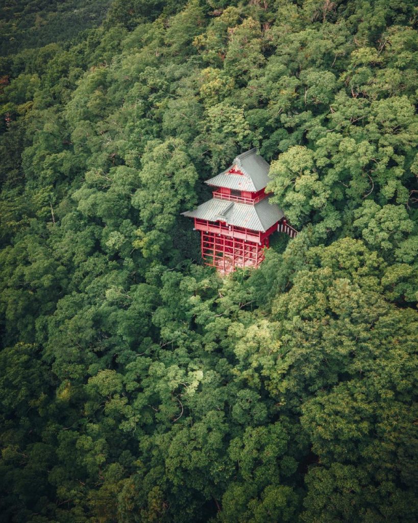 If this isn't the world's best hide-and-seek spot, we don’t know what is! 

This...