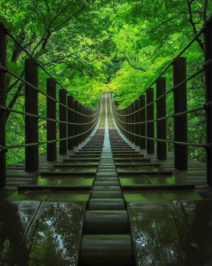 Japan Travel: Ibaraki’s Hananuki Gorge is home to the Shiomi Falls suspension bridge, which is… Ibaraki's Hananuki Gorge is home to the Shiomi Falls suspension bridge, which is...
