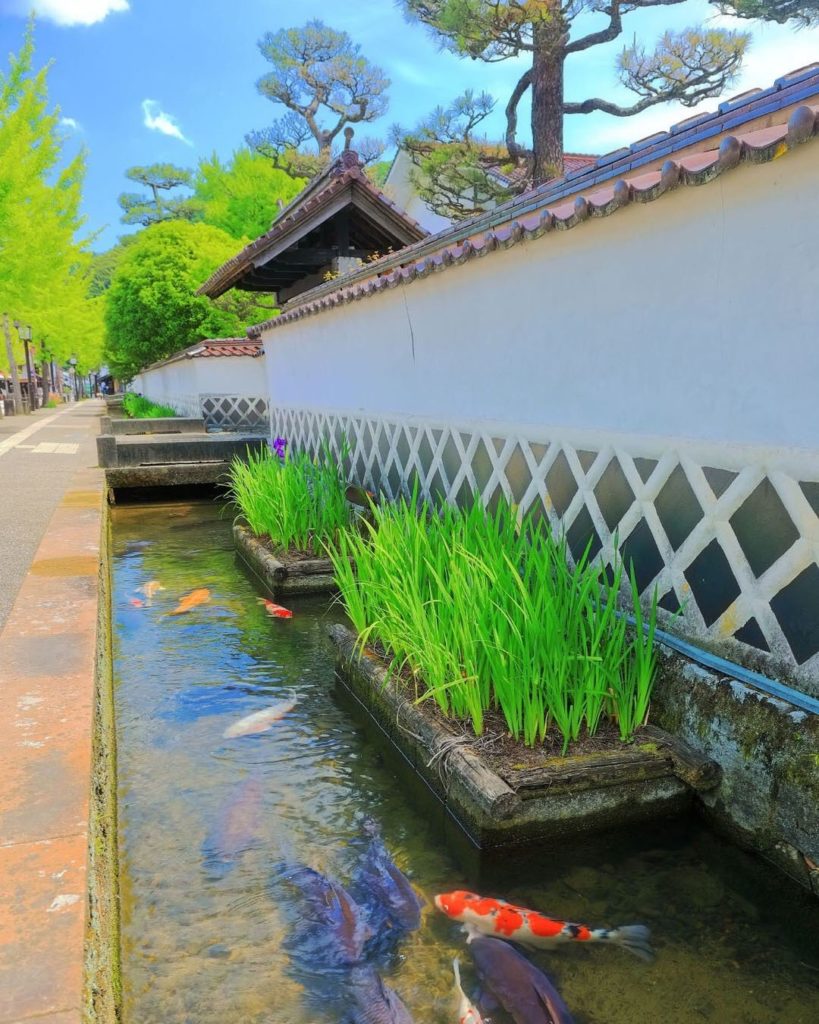 When strolling through the castle town of Tsuwano in Shimane Prefecture, you may...