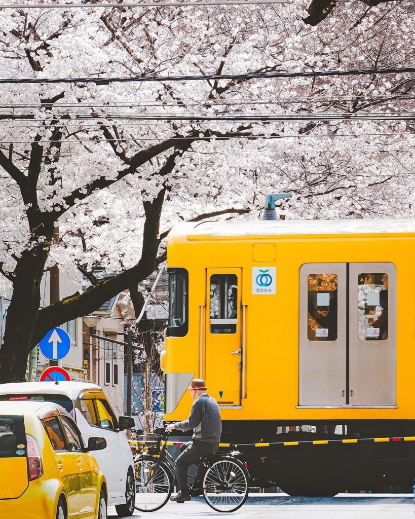 These hot, humid days of summer have us wishing we could rewind the clock to spr...