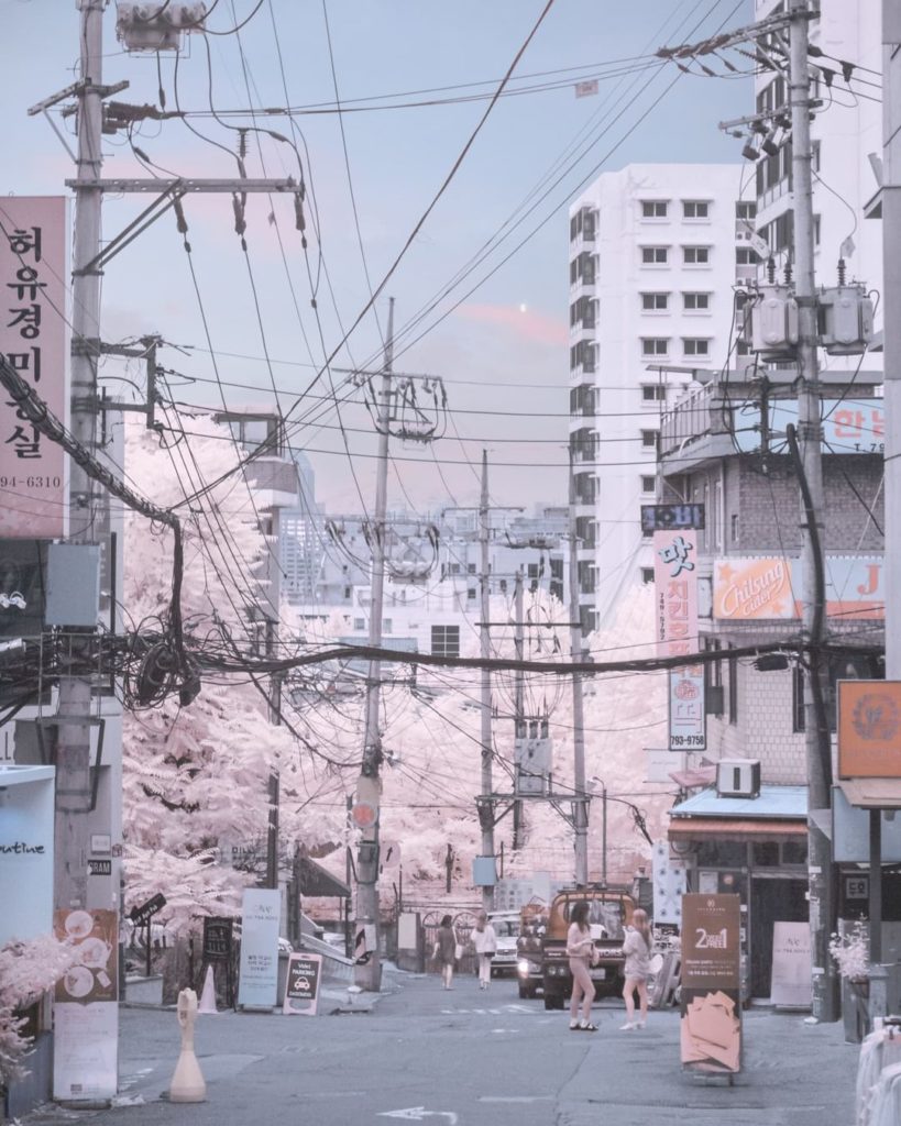 I am living in your dream ...