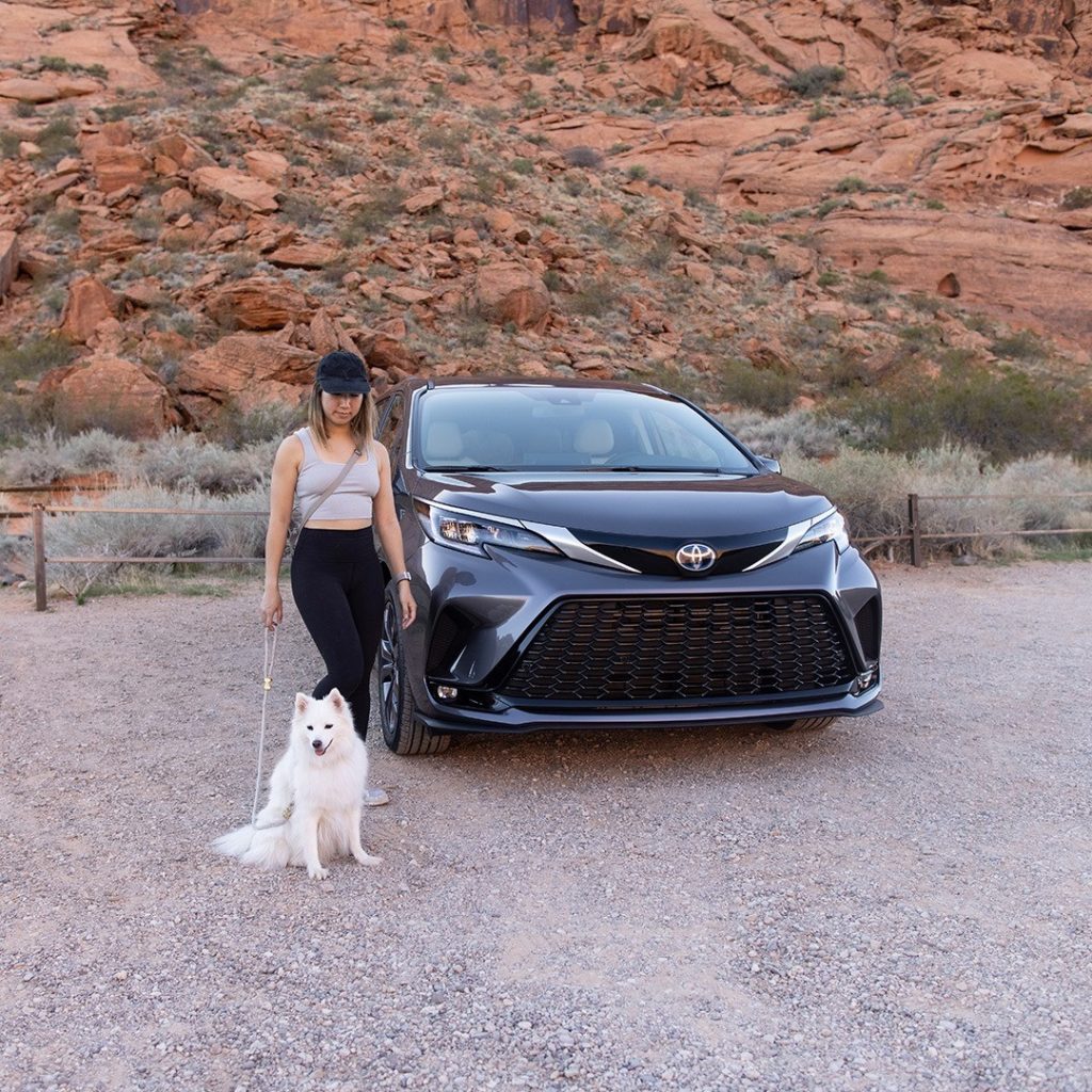 Barkseat drivers are always welcome on road trips.

#NationalDogDay #Sienna #Hyb...