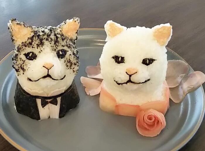 Udon noodle soup Alo Japan