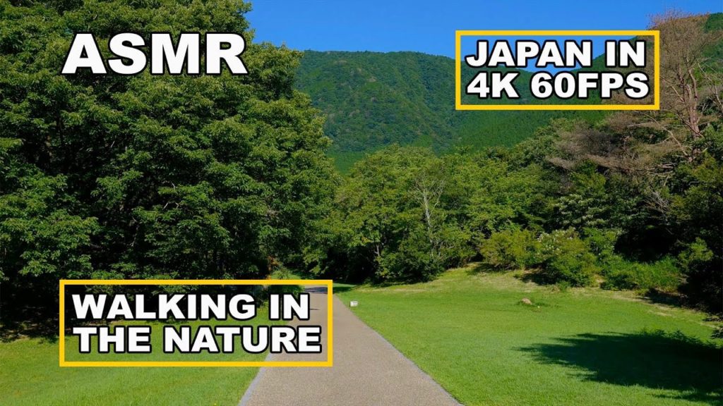 Walking around Tanuki Lake/Camping site under mt. Fuji / Japan in 4K