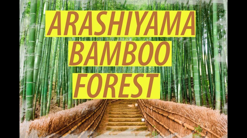【4K】日本 ARASHIYAMA BAMBOO FOREST - KYOTO - Japan 2020 Guide