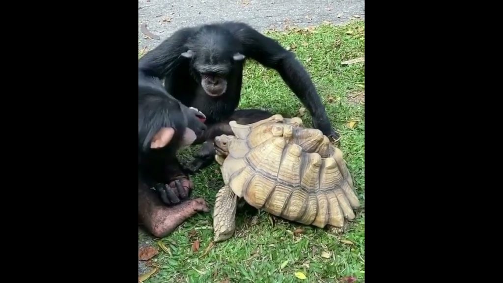 Best Place | Top 10 Best Places | Best Places to Visit in World | Kranthi Puttapaka | #Shorts