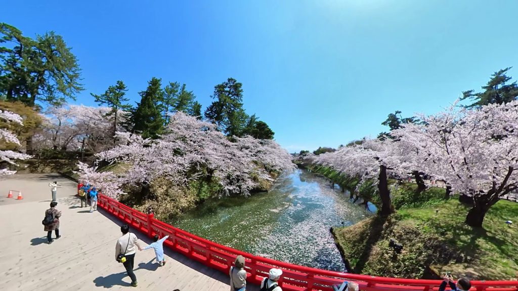 2021 弘前城　SAKURA  Hirosaki Castle at AOMORI JAPAN