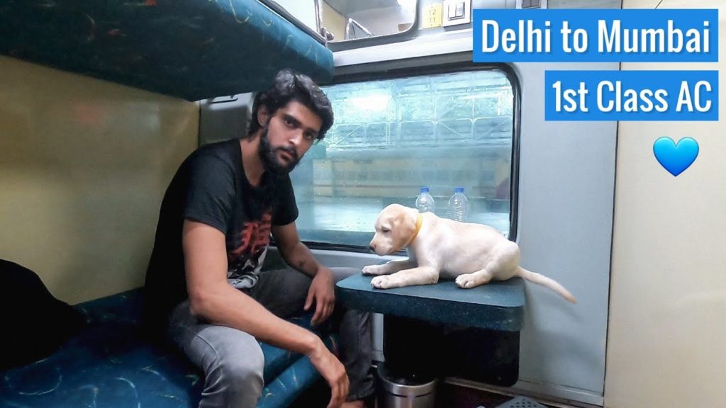 Delhi to Mumbai in 1st Class AC Train with Dog Puppy | Vlog 1