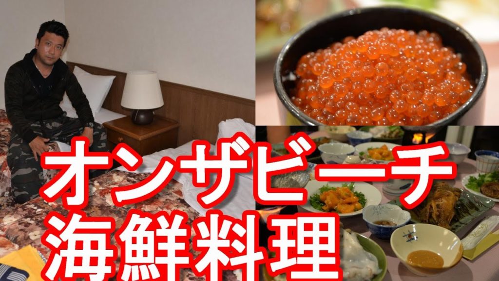 北海道稚内市(宗谷)でお薦めのペンション「亜留芽利亜(アルメリア)」日本最北端ユーチューバー「ねこスナフキン」氏seafoodP,Pension Almeria Wakkanai city,Japan 北海道稚内市(宗谷)でお薦めのペンション「亜留芽利亜(アルメリア)」日本最北端ユーチューバー「ねこスナフキン」氏seafoodP,Pension Almeria Wakkanai city,Japan