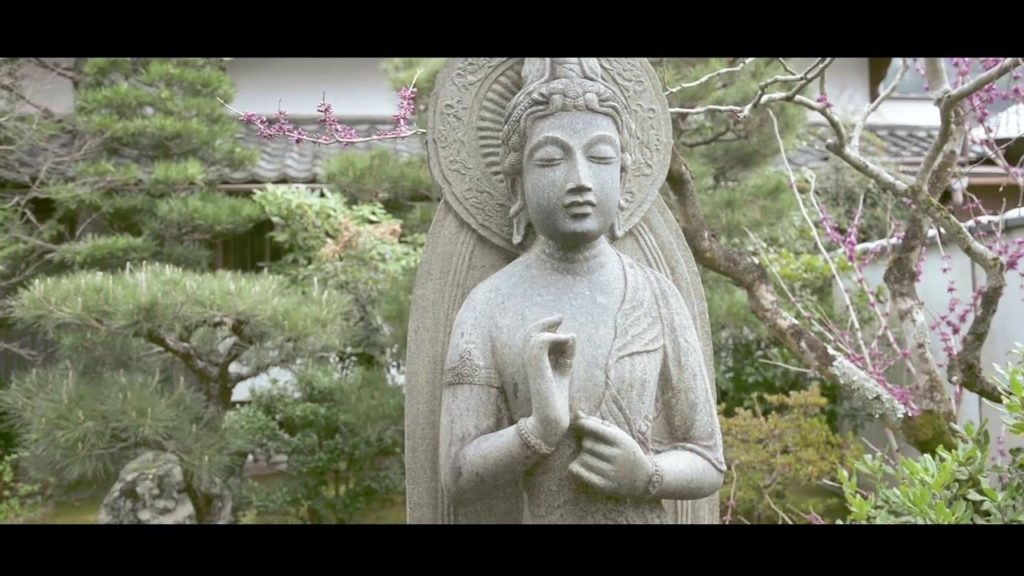 SAKURA-KYOTO AND OSAKA TRIP