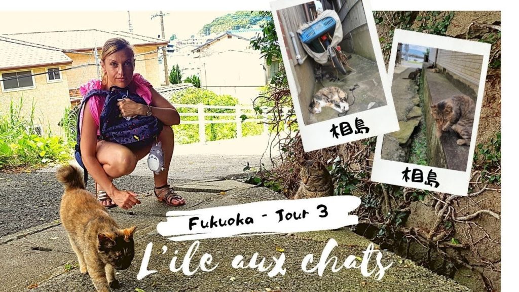 Fukuoka - Jour 3 : Ainoshima, l'ile aux chats