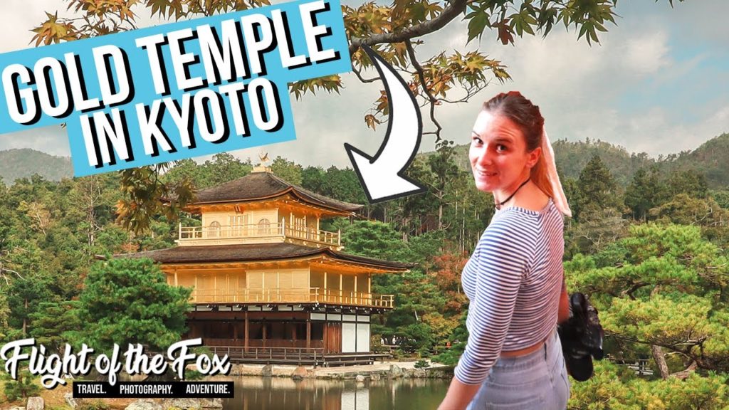The Golden Pavilion & Introvert Ramen in KYOTO | The Kinkakuji & Ichiran Ramen Experience