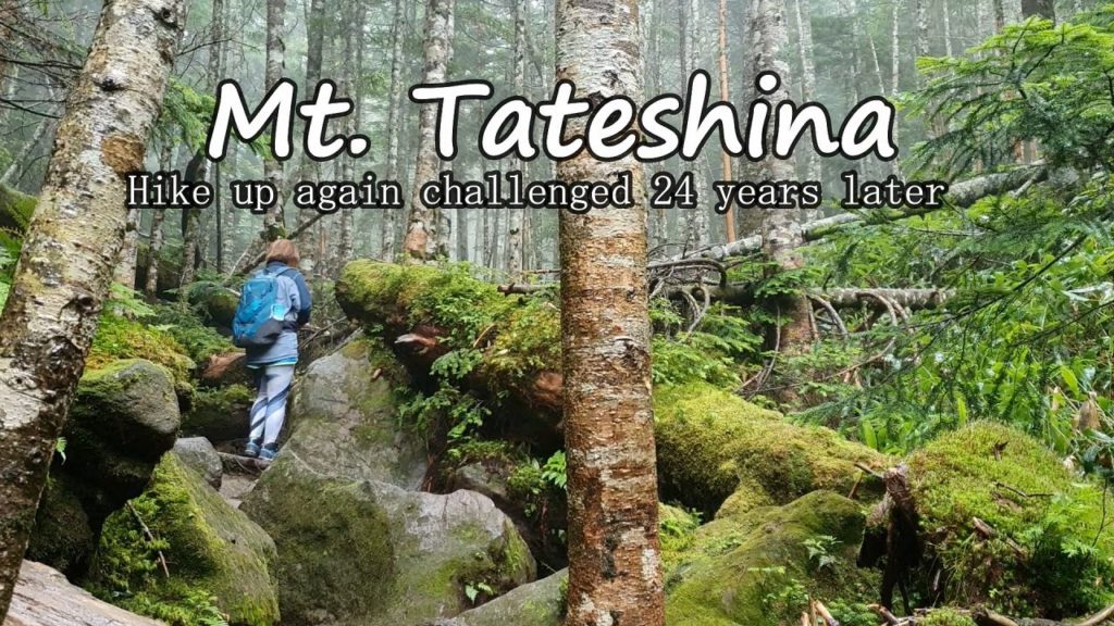 ◆Family hiking in Japan◆  Would you like to hike together to Mt. Tateshina ?