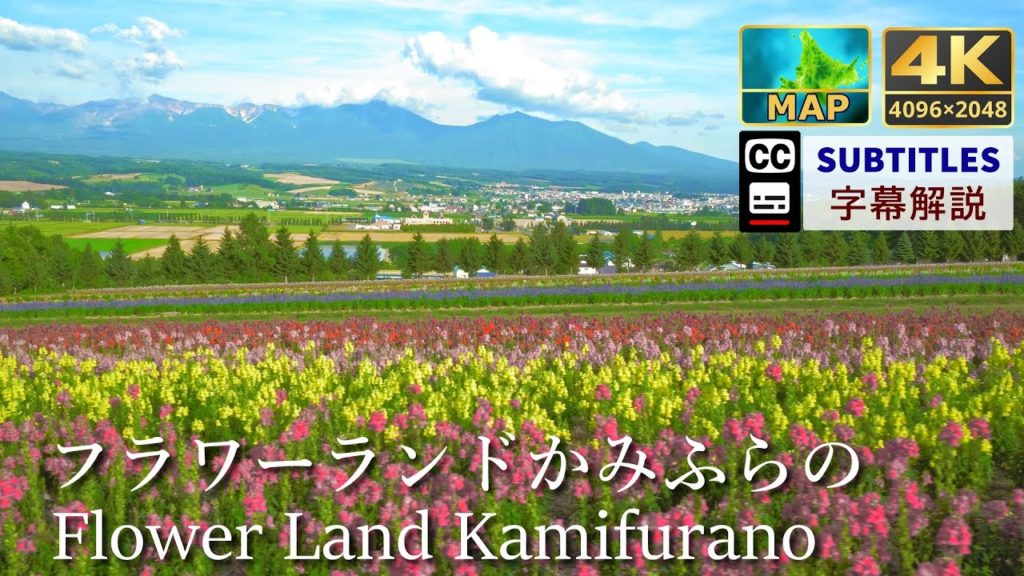 フラワーランドかみふらの | Flower Land Kamifurano (北海道上富良野町 | Kamifurano,Hokkaido) 観光案内 – Travel Guide フラワーランドかみふらの | Flower Land Kamifurano (北海道上富良野町 | Kamifurano,Hokkaido) 観光案内 - Travel Guide