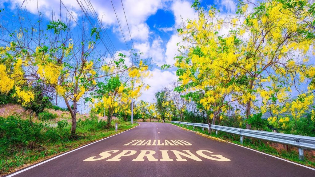 The spring of Thailand