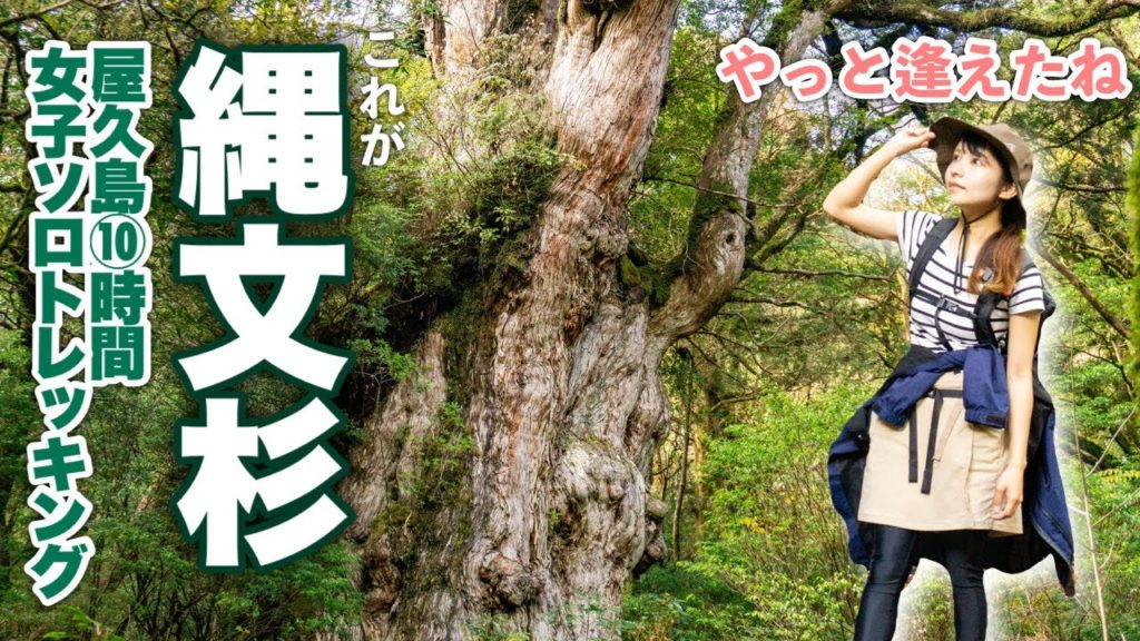 縄文杉目指して屋久島10時間トレッキング後編「これが樹齢7200年の縄文杉だ!」 縄文杉目指して屋久島10時間トレッキング後編「これが樹齢7200年の縄文杉だ!」