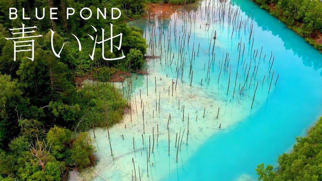 北海道 青い池 / Hokkaido Blue Pond(癒し 自然 絶景 空中散歩 Japan Travel 4K Nature Relaxation) 北海道 青い池 / Hokkaido Blue Pond(癒し 自然 絶景 空中散歩 Japan Travel 4K Nature Relaxation)