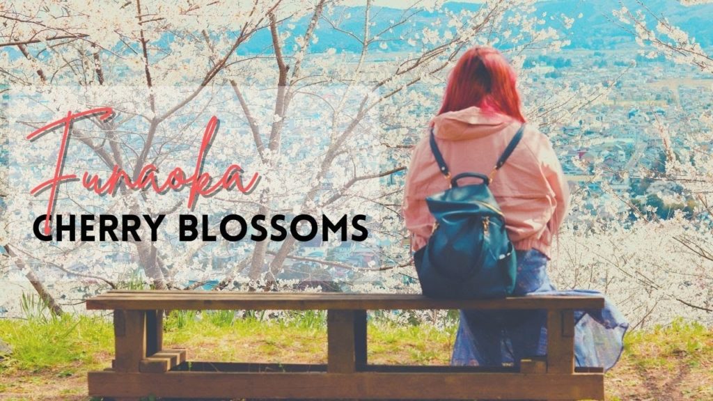 The 1,200 Sakura Trees of Funaoka: The Cherry Blossom Spot in Japan You Need to See The 1,200 Sakura Trees of Funaoka: The Cherry Blossom Spot in Japan You Need to See