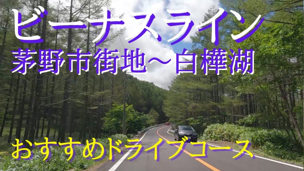【ビーナスライン 1/3】大人気のドライブコースでもあるビーナスラインの景色を車載カメラで撮りました。走行したのは観光地でもある茅野市街地～白樺湖です。絶景のワインディングロードをお楽しみください。