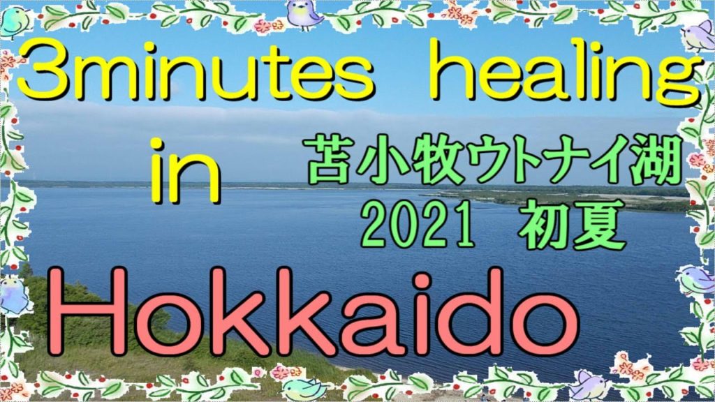 北海道 癒しの小空間(苫小牧市・ウトナイ湖2021初夏)3minutes healing in Hokkaido 北海道 癒しの小空間(苫小牧市・ウトナイ湖2021初夏)3minutes healing in Hokkaido