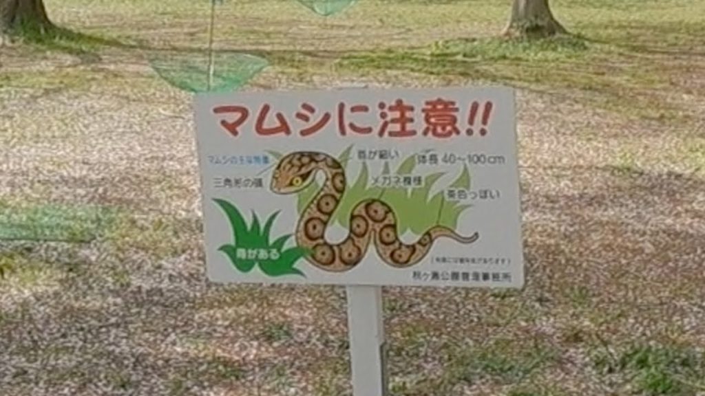 Japan, Travel, Sakura Ward, Saitama Part 5