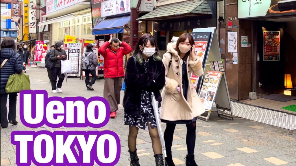 [JAPAN/TOKYO]Ueno walking scenery[Ameyoko]