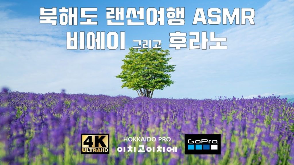 북해도ㅣ4K 비에이 후라노 랜선여행 팜토미타, 탁신관, 세븐스타, 켄과메리, 흰수염폭포, 청의호수, 하고로모타키, 후라노 하이랜드 HOKKAIDO TOUR ASMR