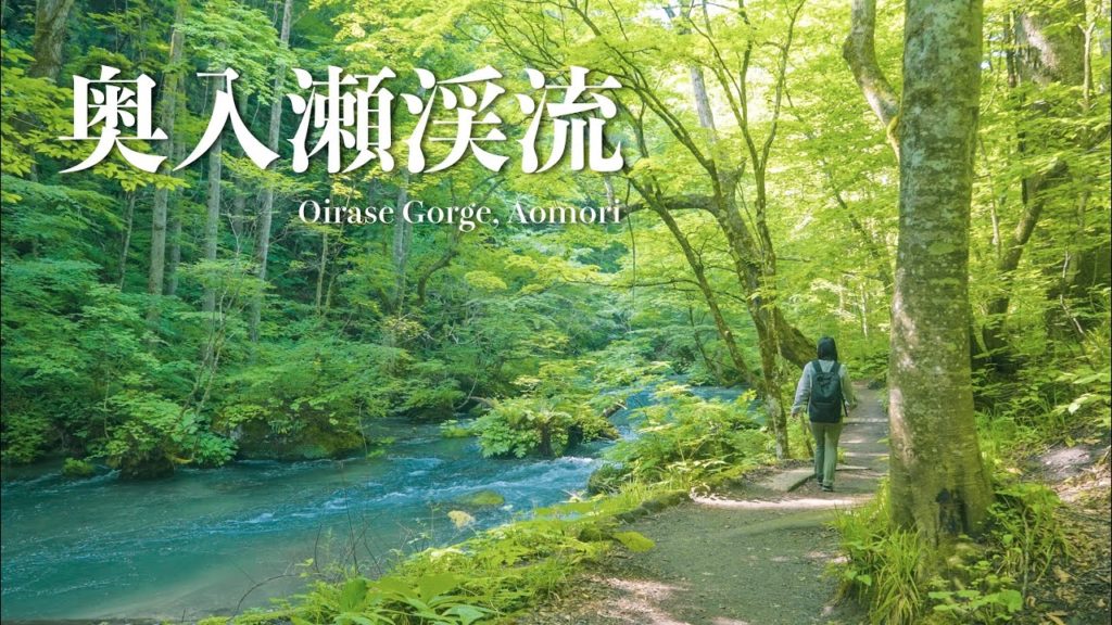 【青森/Aomori】奥入瀬渓流をのんびりお散歩。マイナスイオンで心身ともにリフレッシュ！！Oirase 4k